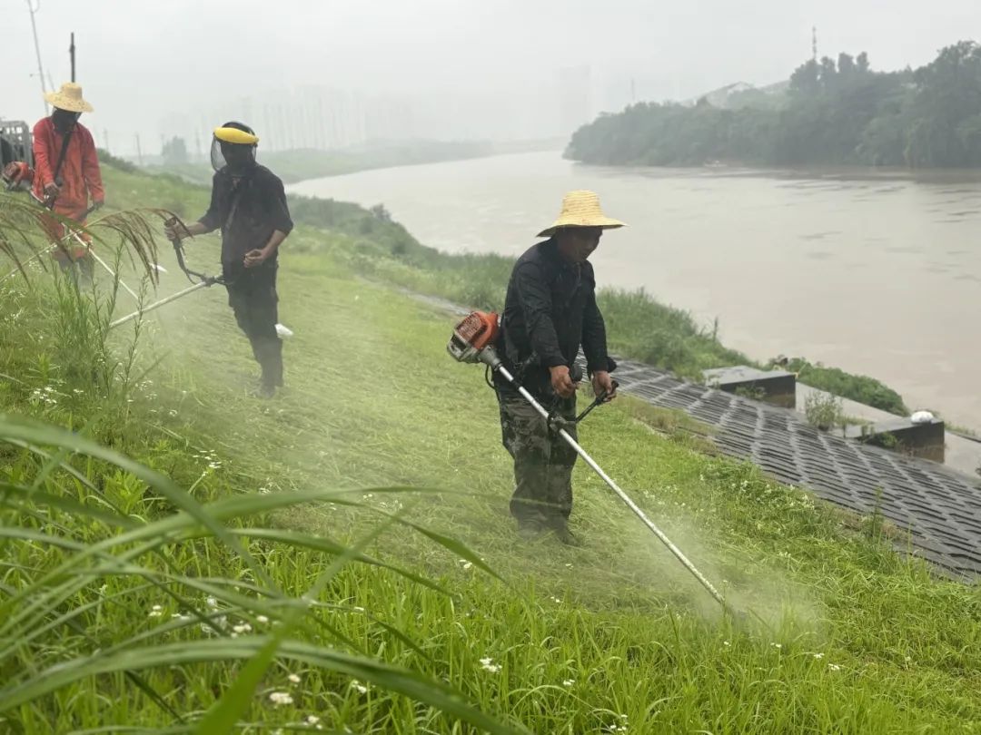 雨花区：迎战暴雨，闻“汛”而动，全力保障群众安全