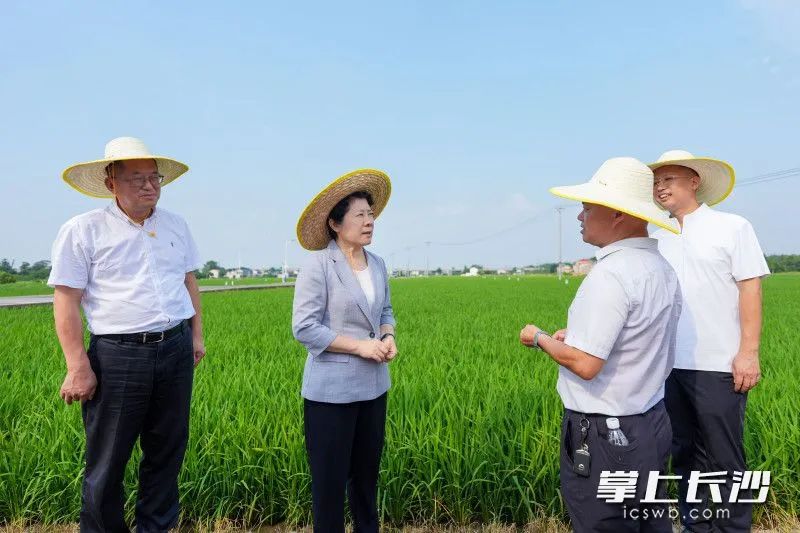 吴桂英调研粮食生产、防汛抗旱及乡村振兴工作