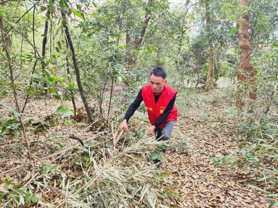 一个人，一辆车……看雨花这场人与森林的对话