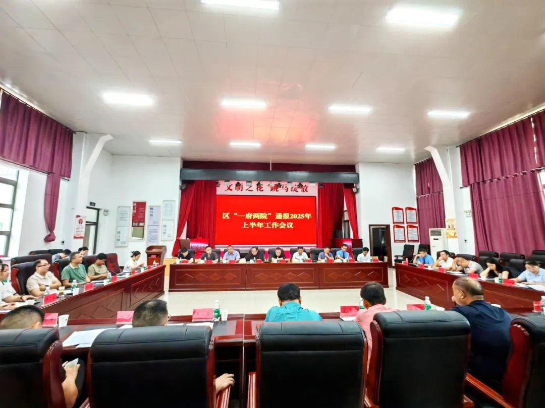 政民同心促振兴，共绘雨花新图景！2025年上半年雨花区“一府两院”工作通报会在跳马镇举行