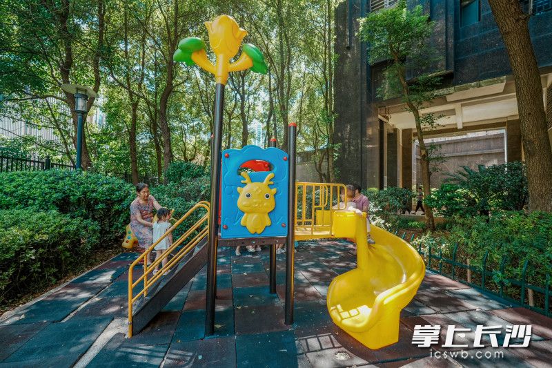 从“矛盾重重”到“和乐融融”，雨花区这个小区有个“红色业委会”